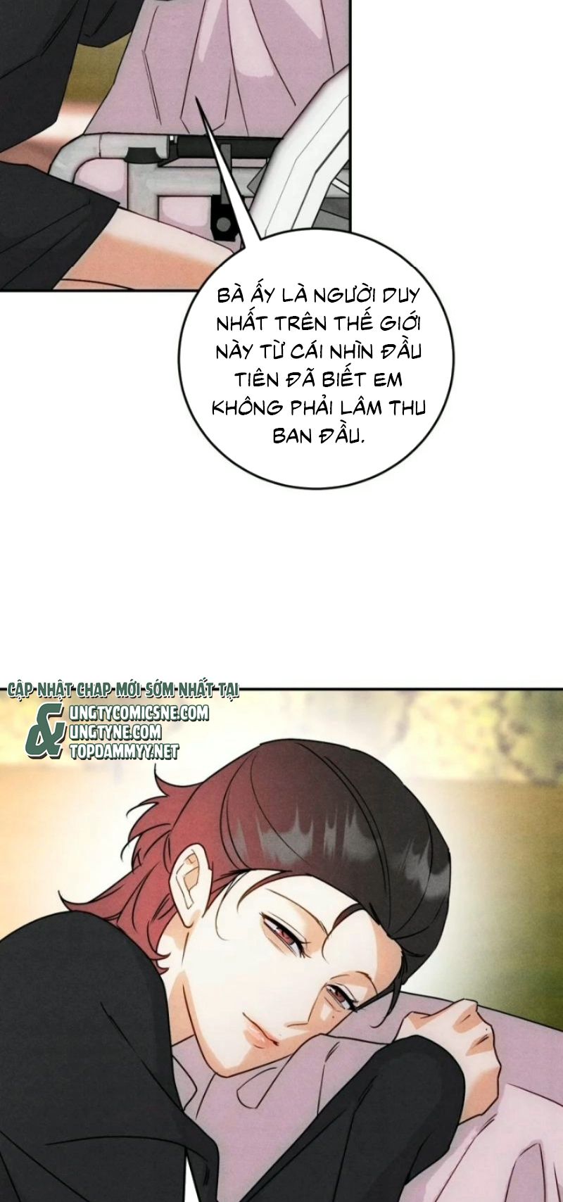 Xuyên Thành Con Ngỗng Vàng Của Đại Lão Alpha Chapter 52 - Trang 11