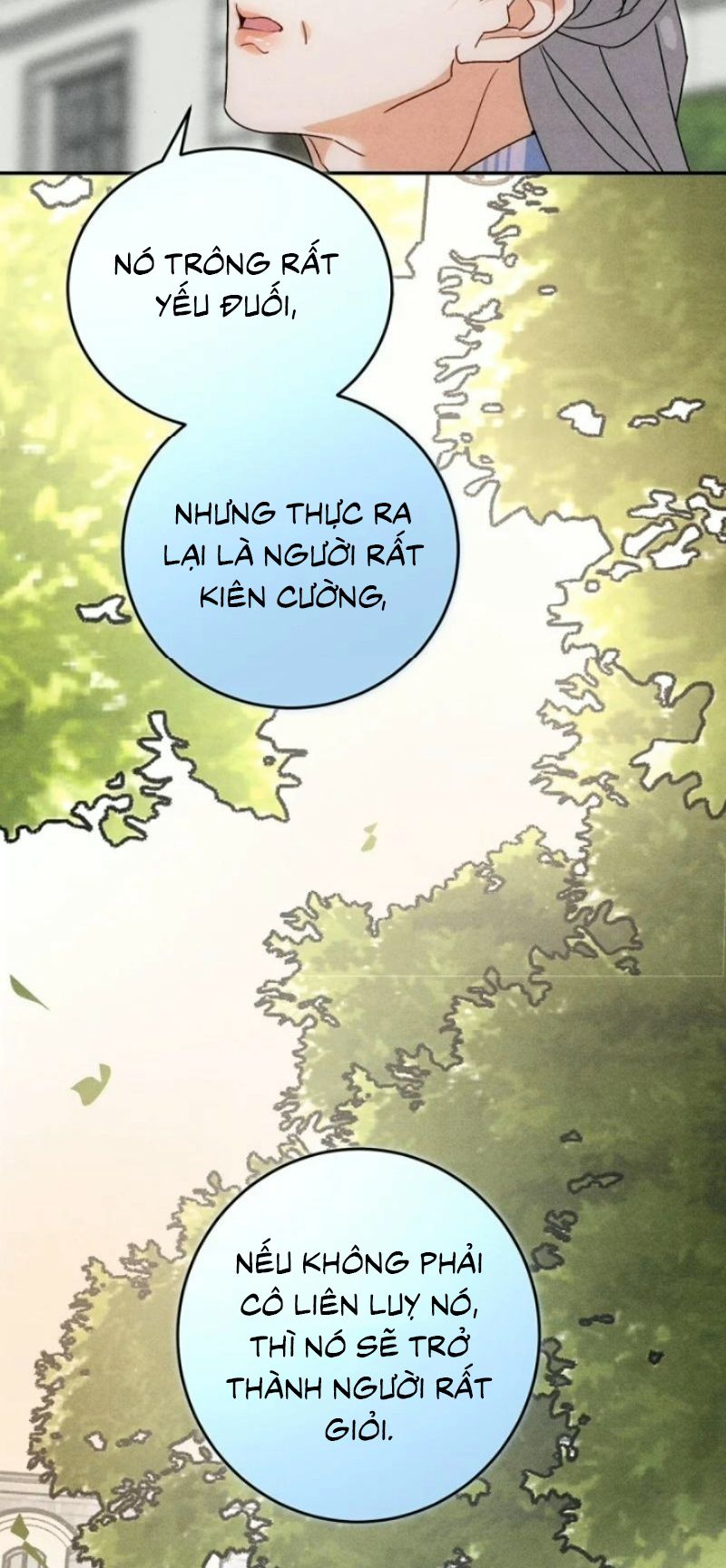 Xuyên Thành Con Ngỗng Vàng Của Đại Lão Alpha Chapter 52 - Trang 32