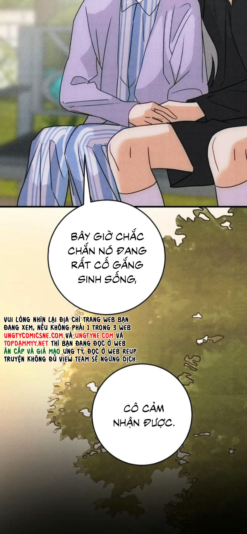 Xuyên Thành Con Ngỗng Vàng Của Đại Lão Alpha Chapter 52 - Trang 35