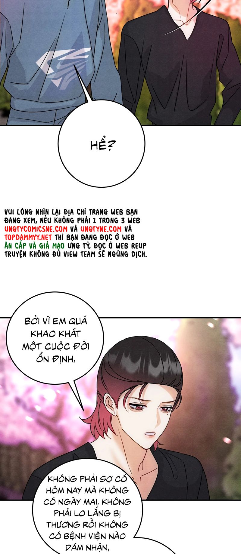 Xuyên Thành Con Ngỗng Vàng Của Đại Lão Alpha Chapter 53 - Trang 16