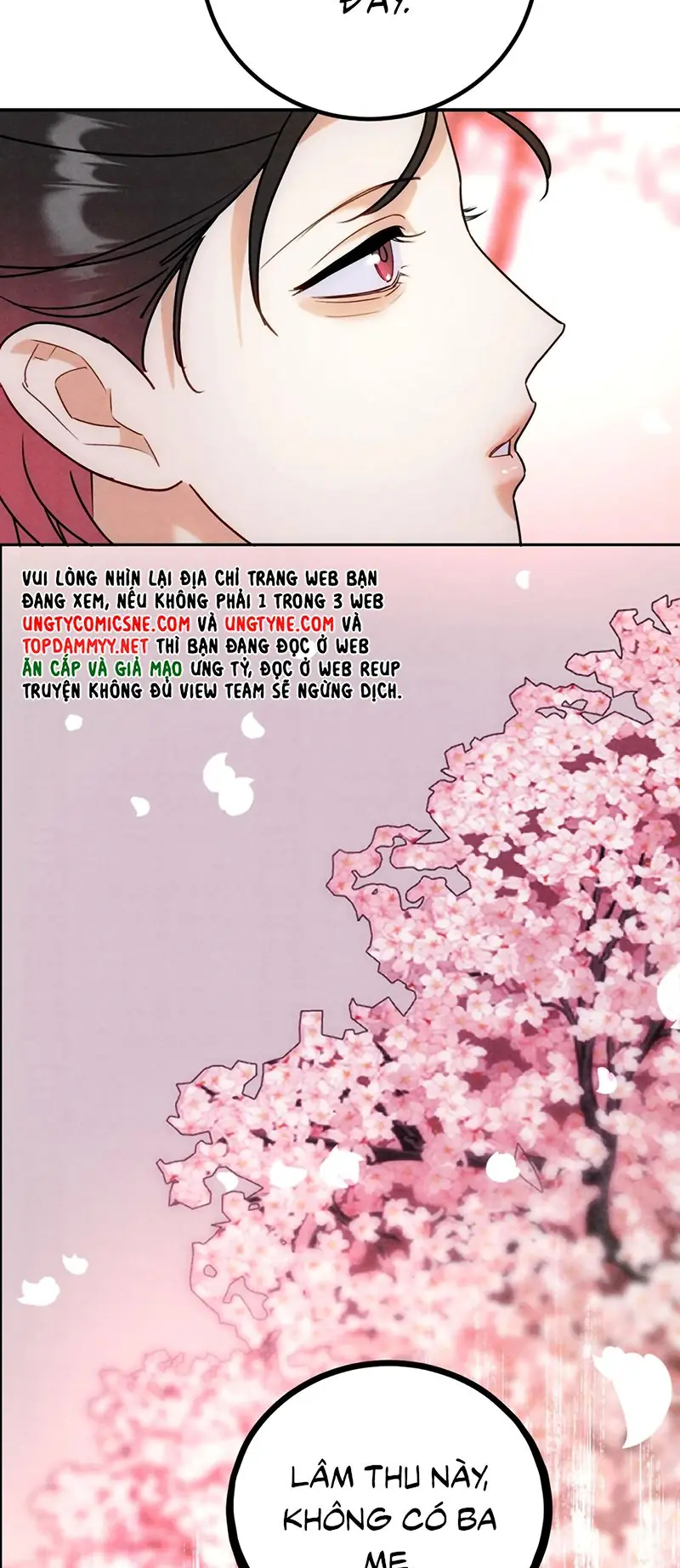 Xuyên Thành Con Ngỗng Vàng Của Đại Lão Alpha Chapter 53 - Trang 9