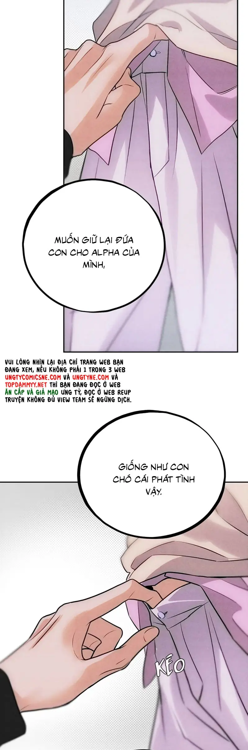 Xuyên Thành Con Ngỗng Vàng Của Đại Lão Alpha Chapter 7 - Trang 15