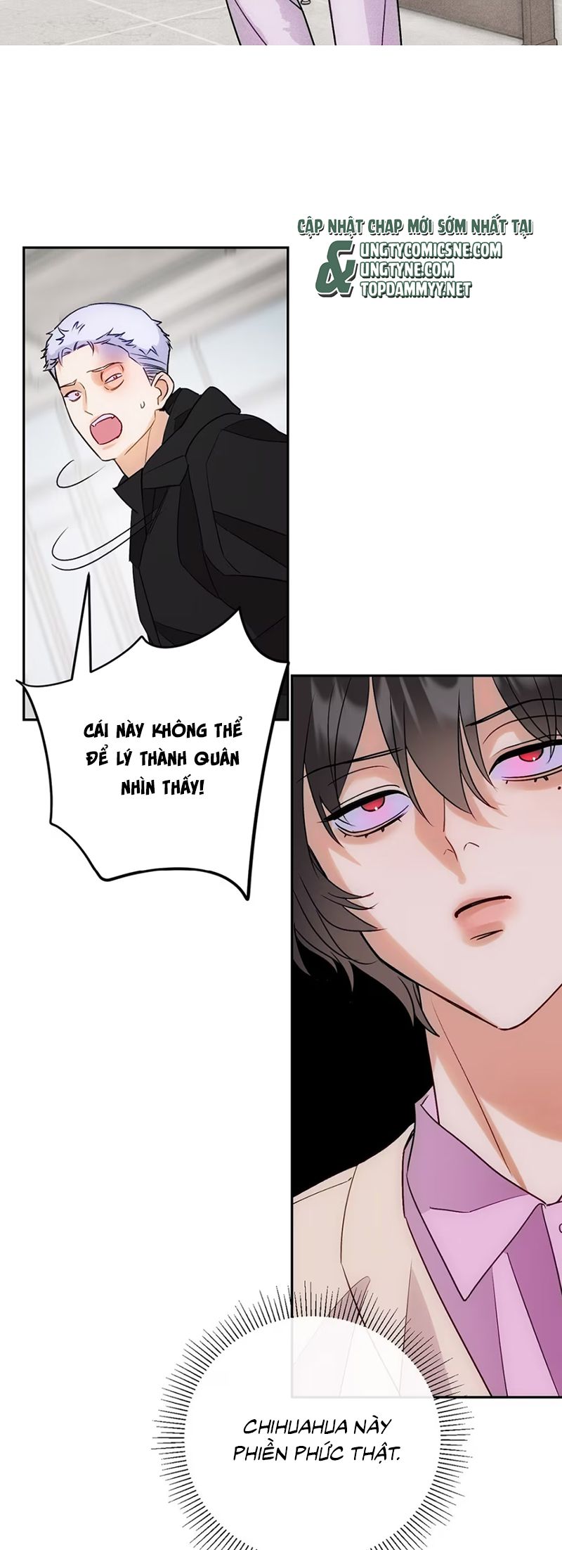 Xuyên Thành Con Ngỗng Vàng Của Đại Lão Alpha Chapter 9 - Trang 13