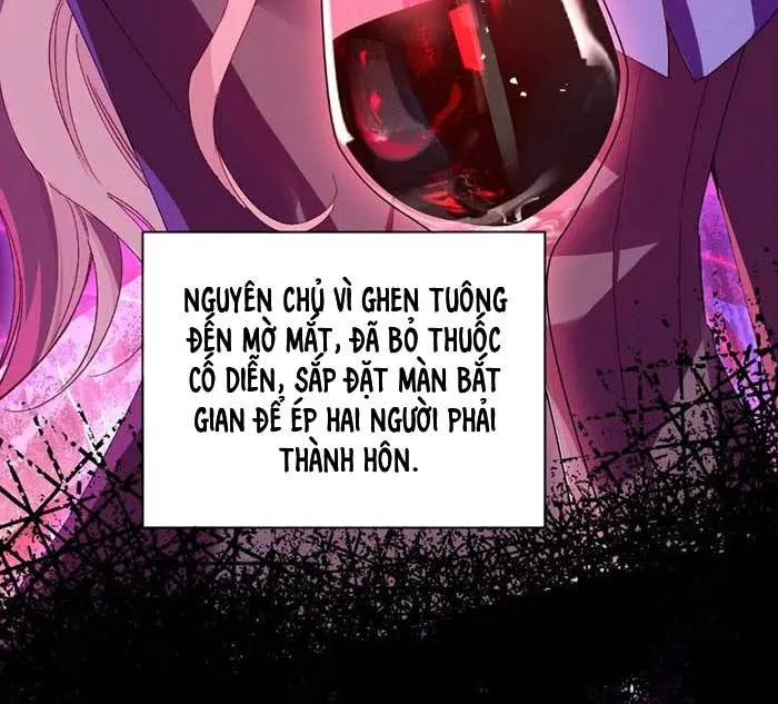 Xuyên Thành Vợ Cũ Ác Độc, Tôi Phải Cứu Đại Lão Phản Diện Chapter 2 - Trang 9