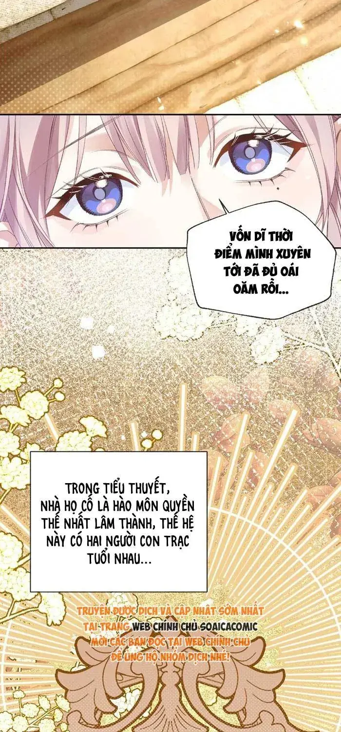 Xuyên Thành Vợ Cũ Ác Độc, Tôi Phải Cứu Đại Lão Phản Diện Chapter 2 - Trang 3