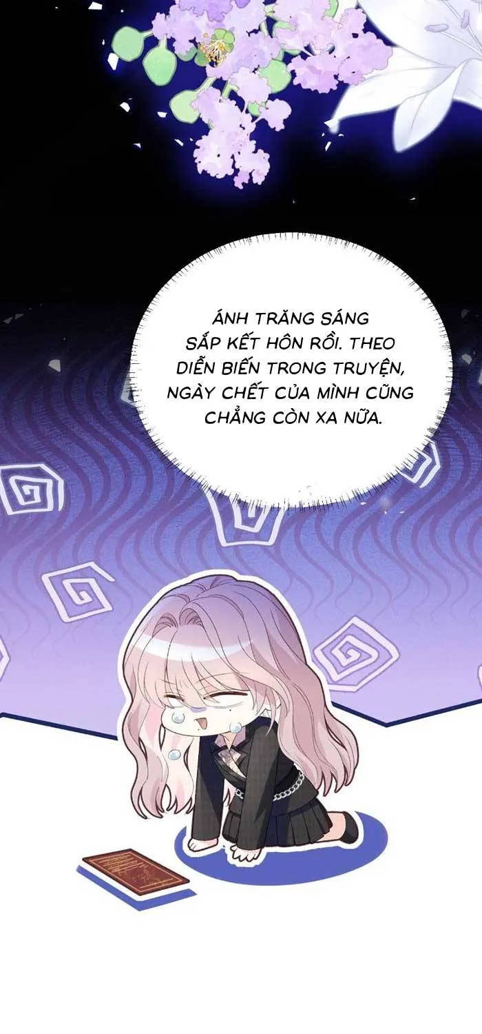 Xuyên Thành Vợ Cũ Ác Độc, Tôi Phải Cứu Đại Lão Phản Diện Chapter 3.2 - Trang 23